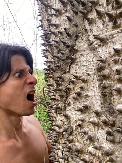 A medium shot captures a man's face and upper torso from the left side of the frame, with his mouth open in a gasp and his eyes wide with surprise. He is looking towards the right of the frame at a tree trunk covered in sharp, conical spikes. The man's skin is tanned, and he has dark hair. The tree trunk, the main subject on the right, is rough and textured, with numerous large, dark spikes protruding from its surface. The background consists of a bright, overcast sky and hints of green foliage, suggesting an outdoor environment, possibly in Los Velásquez, Venezuela, though the exact location cannot be definitively confirmed from the image alone. The overall impression is one of startled discovery in a natural setting.