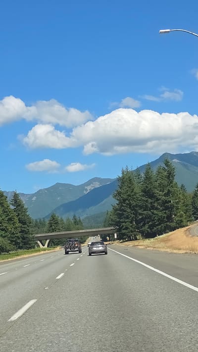 The image depicts a view from a vehicle traveling on a multi-lane highway. In the foreground, the asphalt road is marked with white lines. Ahead, two vehicles are visible: a dark-colored SUV with bicycles mounted on the back, and a silver sedan. A concrete overpass stretches across the highway in the middle ground. Beyond the overpass, a dense forest of evergreen trees lines the right side of the road. In the background, a range of majestic, tree-covered mountains stretches across the horizon, with some rocky, bare patches visible on their slopes. The sky is a clear, vibrant blue, dotted with fluffy white cumulus clouds. A modern street lamp is visible in the upper right corner of the frame, extending from a curved pole. This scene is consistent with the landscape found in the vicinity of North Bend, Washington, known for its mountainous terrain and proximity to highways.