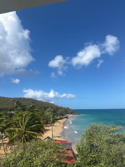 The image displays a vibrant coastal landscape, appearing to be captured from an elevated perspective overlooking a beach and ocean. The dominant feature in the upper part of the frame is a clear, bright blue sky adorned with scattered, fluffy white cumulus clouds, indicating fair weather.

Below the sky, an expansive body of turquoise-blue ocean stretches across the middle and right sections, meeting a sandy beach with gentle waves. The clear water transitions in color from lighter hues near the shore to a deeper blue further out.

To the left, a steep hillside covered in lush, dense green vegetation and trees slopes down towards the beach. Numerous palm trees are visible along the sandy shore and the lower parts of the hillside, their fronds casting shadows on the sand. Closer to the viewer, particularly on the right side, there are abundant green bushy trees, partially framing the view of the beach and ocean.

On the beach or nestled amongst the trees near the coastline, a few small red-roofed buildings are visible, suggesting modest structures or dwellings. In the extreme bottom-left, a portion of a light-colored structure, possibly a wall or railing, is present, indicating the vantage point.

The scene conveys a serene and idyllic tropical beach environment. There are no prominent individuals or specific activities discernible in the image. The bright sunlight, clear sky, and distinct shadows suggest it is daytime, likely mid-morning or early afternoon. The overall atmosphere is one of natural beauty and tranquility. No text is visible in the image.