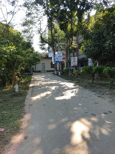 The image displays an outdoor scene in Shibpur, Bangladesh, featuring a paved pathway flanked by vegetation and leading towards several buildings under clear daylight. The pathway, appearing to be concrete or asphalt, occupies the foreground and midground, exhibiting irregular patterns of sunlight and shadow cast by overhead trees. Scattered dry leaves are visible on the path's surface. To the left of the path, a strip of ground covered in grass and soil leads to dense green foliage, including trees with their lower trunks painted white. To the right, manicured bushes and trees are present, alongside multiple poles. Several political banners, prominently featuring portraits of individuals and text in Bengali, are affixed to these poles. In the midground, to the left, a single-story building with a light-colored facade and a dark brown door and window is visible. Behind and to the right of this, a multi-story concrete building with exposed rebar and multiple windows is partially obscured by trees. The sky is bright, partially visible through the tree canopy. No individuals, actions, or interactions are depicted within the scene.