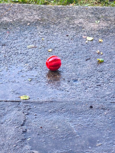 A red, textured ball lies on a wet, paved surface in Lapmežciems, Latvia. The surface appears to be a sidewalk or pathway, with visible texture and scattered leaves. There are puddles of water on the ground, suggesting recent rain. The background shows a strip of green grass. There are no people visible in the image.