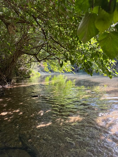 This media file depicts a close-up view of a shallow, clear stream or river with a rocky bottom. Lush green foliage hangs over the water from the left side of the frame, with sunlight filtering through the leaves, creating dappled shadows on the water's surface. The water is rippled, reflecting the sunlight and the surrounding greenery. In the foreground, the bottom of the stream is visible, showing smooth stones and pebbles. A dark object, possibly a fish or a submerged branch, is visible in the water. The overall scene evokes a sense of tranquility and natural beauty. The lighting suggests it is daytime, possibly late morning or early afternoon, given the bright sunlight. The location context places this scene in the Mevoot HaHermon Regional Council in Israel.