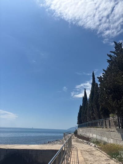 The scene depicts a seaside view in Semidvorye, Ukraine. Tall, dark green trees line the upper right edge of the frame, bordering a concrete path with metal railings that runs along the coast. The path consists of paved stones with a raised edge and fencing. The sky is a clear blue with scattered white clouds. The sea stretches across the lower portion of the frame, appearing calm and reflecting the blue of the sky. A small boat can be discerned in the sea. The image is taken from a ground-level perspective with a slight upward angle, emphasizing the vertical lines of the trees and railings.