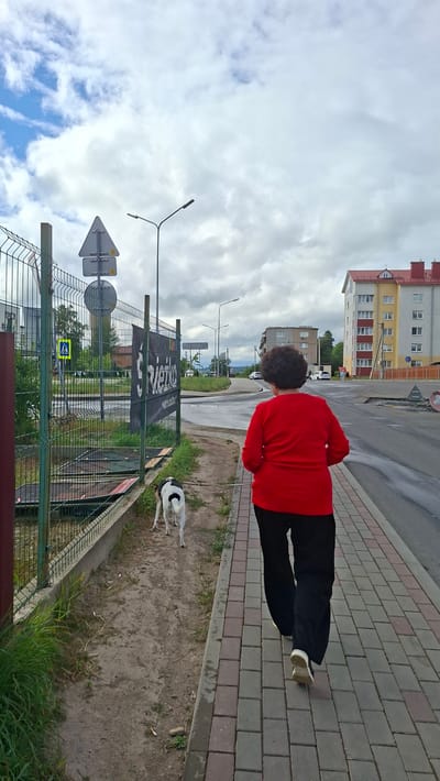 An outdoor, eye-level, full shot shows a woman walking her dog on a sidewalk in Smalyavichy, Belarus. The woman, facing away from the camera, wears a red long-sleeved shirt and black pants. Her dark, curly hair is visible. The dog, a medium-sized, black and white mutt, walks on a leash to her left. They are on a paved sidewalk made of interlocking bricks in various shades of grey and red. To the left of the sidewalk is a dirt and grass area with a metal fence running along it. Behind the fence, a large black banner with white lettering is visible. Beyond the fence, traffic signs and a street lamp are present. In the background, several multi-story apartment buildings are situated along a road. The sky is overcast with large, white clouds. The overall scene suggests a casual walk in a residential or commercial area of the city.