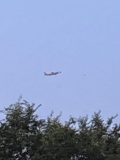 An airplane is flying in a pale blue sky over trees. The airplane is orange and white and appears to be a passenger jet. It is flying from left to right across the frame, with its nose pointing slightly upwards. The trees in the foreground are dark green and leafy. The sky is overcast, suggesting it may be dawn or dusk. The scene is likely from the city of Coslada, Spain, a municipality in the autonomous community of Madrid that is home to Madrid-Barajas Airport.