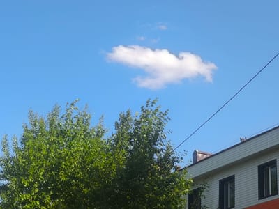 The image captures a bright, clear blue sky with a single, fluffy white cloud. In the foreground, a dense, green deciduous tree fills the left side of the frame, its leaves appearing lush and vibrant. To the right, the upper portion of a modern building is visible, featuring white siding and dark-framed windows. A dark power line bisects the sky diagonally from the upper right corner towards the center of the image, passing above the building and tree. The scene appears to be a typical urban or suburban landscape on a sunny day in the city of Abay, Kazakhstan. No people are visible in the image.