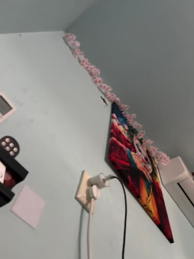 The image depicts an interior scene, likely a room, with light blue walls. In the upper right corner, a string of pink decorative flowers adorns the wall and ceiling joint. A framed picture with vibrant colors, possibly a painting or print, hangs on the wall, also partially decorated with the same pink flowers along its upper edge. To the left of the framed picture, a white electrical outlet is visible with a white plug inserted. A black electrical cord extends downwards from the plug. Further to the left, a black object with several circular, light-colored elements is mounted on the wall, resembling a speaker or a light fixture. A small white square object is also attached to the wall below this. The image is taken from a low angle, looking upwards towards the ceiling. No people are present in the scene. The overall impression is of a decorated living space. The location of Debelt, Bulgaria, is not discernible from the visual information in the image.