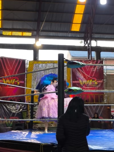 A wrestling ring with blue mat and turnbuckle pads. In the ring stands a person with a large blue wig and pink dress. Behind the ring, a sign displays "WB" and wrestling themes. A person in a black coat faces away from the camera in the foreground. The scene is inside a building with visible roof structure and distant spectators.
