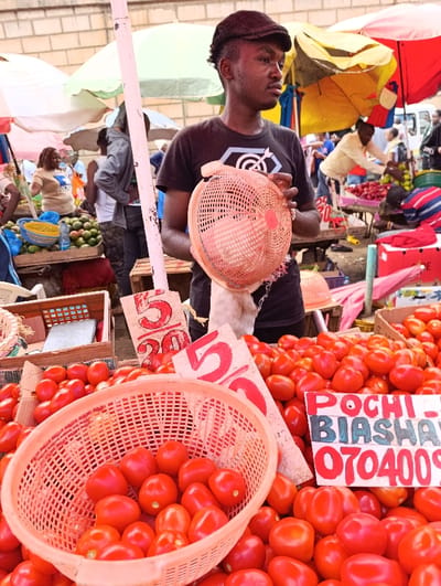 The scene is a bustling outdoor market in Githurai, Kenya (latitude: -1.204, longitude: 36.918). A young man, dressed in a black t-shirt and a dark cap, holds a red plastic colander. The market is filled with various goods, including a large quantity of red tomatoes, arranged in a large basket and spilling onto a table. In the background, numerous brightly colored umbrellas provide shade from the sun. Other market vendors and customers can be seen in the background. A sign displays the price of the tomatoes: "5 for 20" and another sign reads "Pochi Biashara 070409."