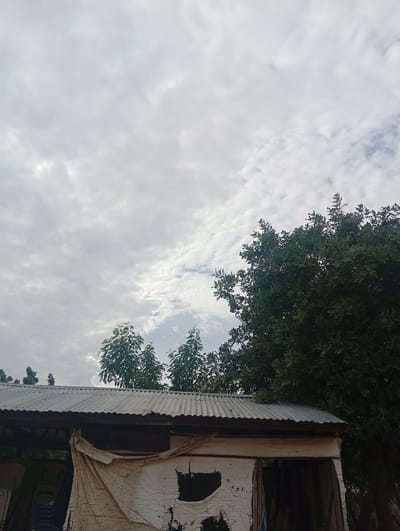 This image captures an overcast sky above a weathered structure, likely a shed or outbuilding, in Gulak, Nigeria. The corrugated metal roof of the structure shows signs of age and wear. A large, tattered piece of beige fabric hangs from the side of the building, partially obscuring a white wall that exhibits peeling paint and dark patches. To the right and behind the structure, dense green foliage from a large tree contrasts with the muted tones of the sky and building. Several smaller trees with green leaves are visible in the background, emerging from behind the shed. The sky is filled with a textured pattern of clouds, with some areas appearing brighter, suggesting scattered sunlight. No people are visible in the frame.