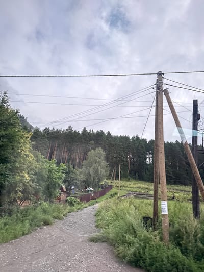 This image depicts a rural scene in or around the city of Uznezya, Russia. A dirt road curves to the left and uphill, bordered by lush green vegetation on both sides. In the mid-ground, a dense forest of tall pine trees covers a hillside, with some lighter-colored deciduous trees interspersed. A rustic wooden fence runs along the edge of the property on the left side of the road, with a few small buildings or structures visible beyond it. Several wooden utility poles with numerous wires are prominent in the foreground and mid-ground, indicating the presence of electricity infrastructure. The sky is overcast with heavy clouds. The overall impression is of a remote, natural setting with signs of human habitation and development.