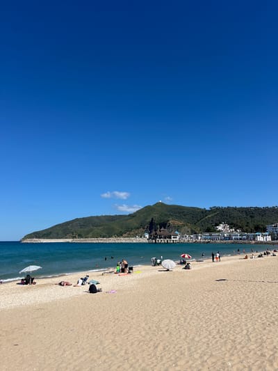 The image shows a beach in M'Diq, Morocco. To the left is a clear blue sky, occupying about half of the frame. The right half depicts a beach with light brown sand. Along the shoreline, there are people sunbathing, swimming, and relaxing under umbrellas. In the background, a green, tree-covered mountain slopes down to meet the beach. Buildings and infrastructure are visible along the mountain's base. The water is a greenish-blue color. The beach appears to be a popular spot for recreation and leisure.