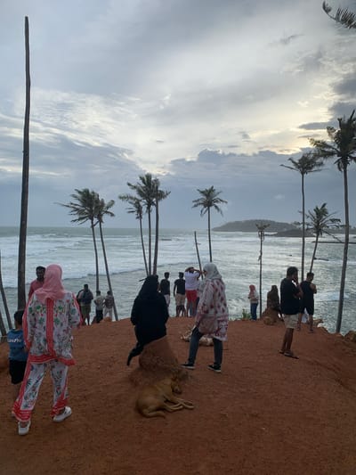 The media file captures a group of people and dogs on a clifftop overlooking a beach with palm trees and the ocean. The scene appears to be a tourist spot, possibly a viewpoint or a resting area. The people are casually dressed, suggesting a daytime activity. Some individuals are standing and observing the scenery, while others are sitting or lying down. There are several dogs present, some of which are lying down or interacting with the people. The sky is cloudy with some patches of sunlight breaking through, indicating a potentially changeable weather or a late afternoon/early morning setting. The terrain is reddish-brown, typical of coastal cliffs in certain regions. The presence of palm trees and the ocean strongly suggests a tropical or subtropical coastal location. The overall mood seems relaxed and observational, with people enjoying the natural beauty of the surroundings. There is no visible text in the media file.