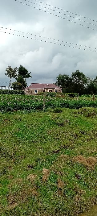 The image displays an outdoor scene in Kinale ward, Kenya, under a heavily clouded grey sky. Multiple power lines traverse the upper portion of the frame. The foreground consists of an uneven grassy expanse with patches of exposed brown soil. In the midground, a cultivated field contains dense green plants exhibiting numerous small, light-colored blossoms or buds. A weathered wooden fence post is visible within this field. Behind the cultivation, a single-story house with light-toned walls and a reddish-brown tiled roof is partially obscured by a dense line of green trees and bushes. Additional trees are visible in the background. No individuals or animals are present, and no specific actions or interactions are depicted.