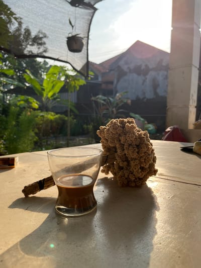 In the city of Karangkebagusan, Indonesia, on a table outside, a small glass of coffee sits next to a dried flower bouquet. The glass is half-full of a dark brown liquid, likely coffee. The dried bouquet is composed of many small, light brown, bud-like flowers. A thin wooden stick, bound with black string, protrudes from the glass and is connected to the bouquet. In the background, lush green foliage and banana leaves are visible, indicating a garden or backyard setting. A building with a weathered facade is also present, with sunlight casting a lens flare across the image. The lighting suggests it is either early morning or late afternoon. A packet of cigarettes is visible to the left of the coffee glass.