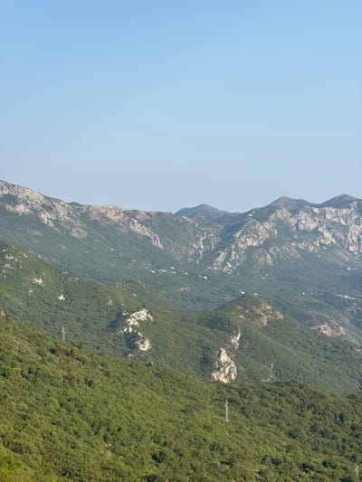 A vertical, wide-angle, eye-level shot captures a panoramic view of verdant, densely forested mountains under a clear, pale blue sky. The foreground and midground are dominated by rolling hills covered in a thick canopy of dark green trees. Some lighter green patches indicate sparser vegetation or different tree types. Occasional rocky outcrops, appearing as lighter grey and white formations, punctuate the green slopes. In the distance, progressively layered mountain ranges recede into the horizon. The farthest mountains are rugged and appear lighter in color, with exposed rock faces. A few small, white structures, likely houses, are sparsely visible nestled within the trees on the distant slopes. Electrical pylons are visible on some of the nearer slopes, with thin wires stretching between them. The overall impression is one of a remote, natural landscape, likely in a mountainous region. The location is identified as Brajici, Montenegro.