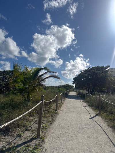 A sun-drenched, sandy path stretches into the distance, bordered by low vegetation and a rope fence with wooden posts. The path curves gently, disappearing into the background. On the left, vibrant green palm trees and lush foliage reach towards a bright blue sky filled with fluffy white clouds. The sun casts strong shadows, adding depth to the scene. A building is visible in the far distance.