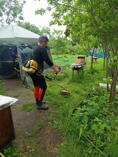 An adult male, wearing a black long-sleeved shirt, black pants with red accents, black socks, and grey crocs, is operating a yellow and black string trimmer in a grassy area. He is positioned in the center of the frame, facing left and slightly away from the camera. The trimmer is in motion, suggesting he is actively cutting the grass. Behind him, a large, olive-green tent is visible, with the entrance flap partially open. Inside the tent, another person can be seen. The environment is outdoors, with abundant green foliage, trees, and overgrown grass. In the background, there are various objects, including a table with boxes and a metal structure. The ground appears damp and muddy in some areas. The location is identified as Ostrovtsy, Russia.
