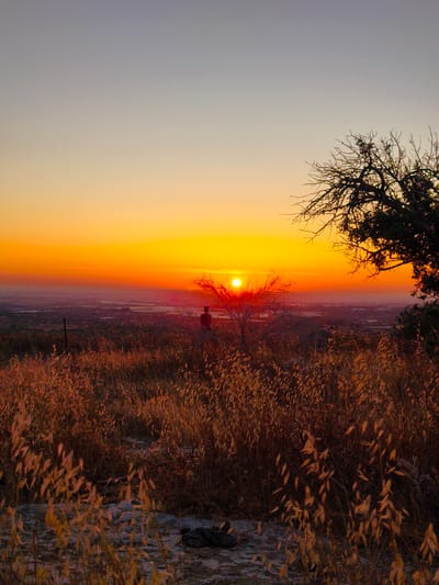The image displays a sunset over a landscape in the Lachish Regional Council, Israel. The sky transitions from a pale blue-grey at the top to an intense orange and yellow gradient at the horizon, where a distinct, bright yellow sun is centrally positioned. The foreground is dominated by a dense field of dry, golden-brown grasses and plants, with sporadic patches of lighter, possibly rocky, ground. In the midground, a silhouetted individual stands facing the setting sun, located to the left of a small, bare-branched tree that partially overlaps the sun's disk. A larger, densely branched tree, also silhouetted, occupies the upper right portion of the frame. A slender, dark vertical post is visible on the left side of the midground. The background features a hazy, expansive view of a valley or plain containing multiple bodies of water and indistinct outlines of distant structures. The scene is characterized by the strong backlighting from the setting sun, which casts the foreground elements and figures into prominent silhouettes.