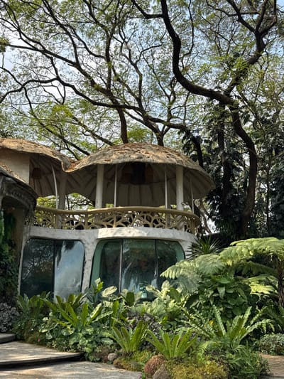 A unique building, possibly a treehouse, features organic shapes and a domed roof. Trees surround the structure. A complex network of branches occupies the upper left. The building's exterior is adorned with decorative latticework. Lush greenery and plants add to the natural setting, blending the building with the landscape. Windows reflect the surrounding trees and sky.