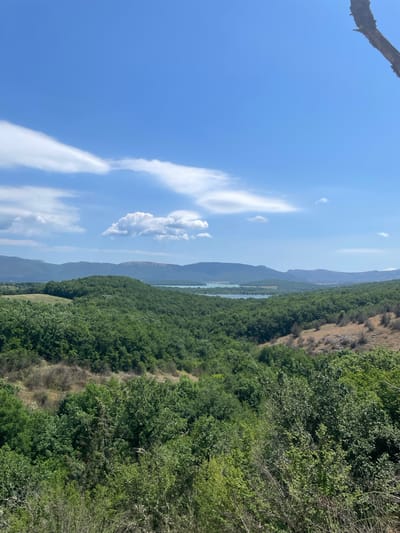 This is a vertical, high-angle shot of a lush green landscape under a bright blue sky with scattered white clouds. The scene appears to be a mountainside overlooking a body of water.
The primary subjects are the dense, verdant trees that cover the sloping terrain on the right side of the frame. The trees are varied in height and texture, with some appearing taller and more mature, while others are smaller and bushier. A dry, rocky patch of land is visible among the trees, indicating a natural, undeveloped environment.
In the distance, a long, narrow body of water, possibly a lake or a wide river, stretches horizontally across the frame. The water has a turquoise hue, contrasting with the surrounding greenery. Beyond the water, a series of hazy, blue-hued mountains rise, suggesting a vast, expansive landscape. The sky is a vibrant blue, with wispy white clouds, some of which are cumulus, scattered across it. A silhouetted tree branch extends from the top left corner of the frame, adding a foreground element.
The time of day appears to be daytime, likely late morning or early afternoon, given the bright sunlight casting subtle shadows and illuminating the scene. The weather seems to be clear and fair, ideal for outdoor viewing. There are no people or specific objects visible that suggest an activity or event. The overall impression is one of natural beauty and tranquility. There is no visible text in the image. The location context suggests this scene is within the Orlinivskyi district of Ukraine.
