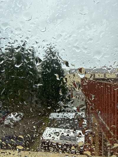 The media file is a close-up, abstract photograph of raindrops on a window. The foreground is dominated by the water droplets, which distort and magnify the view of the background.
The subjects in the background are blurred and fragmented due to the water. On the left side, a soft, light-colored area suggests an overcast sky or a bright, featureless wall. The right side of the background reveals more details: the textured surface of a brown-tiled roof, suggesting residential buildings. Below the roofline, there are reflections and shapes that indicate trees or other foliage, appearing as dark, blurred masses. Further to the right, there are hints of building structures, possibly a window frame or part of a wall, rendered in light and dark tones.
The activity taking place is a rainy day. The weather is clearly the focal point, with the raindrops creating a lens effect on the scene beyond the window. The time of day is indeterminate, though the overcast conditions suggest it could be morning, afternoon, or evening during a period of rain. The location context is Zielona Góra, Poland, though this is not visually evident within the image itself.
Notable details include the variety in the size and shape of the raindrops, from tiny beads to larger, elongated streaks. The way the light refracts and reflects through the water adds a dynamic and artistic quality to the image. The overall emotion evoked is one of quiet observation, perhaps a sense of being indoors and observing the elements. There is no visible text in the image.