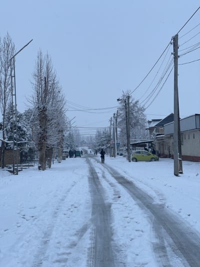 A snow-covered street is depicted. Bare trees line the left side, weighed down with snow. Power lines stretch across the sky. Tire tracks mark the road, with a pedestrian walking along the cleared path. A light green car is parked on the side of the road further down. Buildings can be seen in the background, veiled by the snowy weather. The sky is overcast, adding to the overall wintery ambiance.