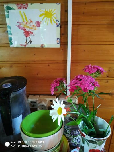 A close-up, eye-level shot captures a rustic scene inside what appears to be a wooden-paneled room. On the left, a black electric kettle stands next to a stack of bowls, the topmost being a vibrant green. A single white daisy with a yellow center is positioned in front of the bowls. Behind the kettle and bowls, a white electrical outlet strip with multiple sockets is visible against the wooden wall. To the right, a bouquet of bright pink flowers, possibly carnations or sweet williams, is arranged in a patterned vase adorned with red floral motifs. In the upper left corner, a child's drawing of a sun and a stylized bird is displayed on the wall. The overall impression is one of a simple, domestic setting, likely in a dacha or rural dwelling, given the wooden construction and the child's artwork. The location "Лесное Фрязино Снт, Russia" suggests a garden community in the vicinity of Fryazino, a town northeast of Moscow.
