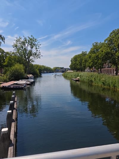 A wide canal flows through a sunlit urban area, bordered by lush green trees and buildings on either side. The water is dark blue and reflects the sky and surrounding foliage. On the left bank, several boats are moored to a wooden dock. The boats are covered with tarps. A wooden pier extends into the water, with vertical posts topped with white caps. On the right bank, tall reeds and grasses line the water's edge, with trees and multi-story buildings visible behind them. A person is seen stand-up paddleboarding on the canal in the distance. The sky is bright blue with scattered white clouds. This scene depicts the Stadsring canal in Tilburg, Netherlands.