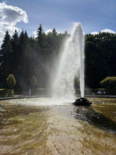 This image depicts a scene at Peterhof, Russia, likely during the daytime, with bright sunlight indicating fair weather. The primary subject is a large, powerful water fountain situated in a pond or pool. The fountain erupts upwards, creating a dramatic spray of water that catches the sunlight, resulting in a shimmering, almost ethereal effect.

The setting appears to be a park or garden, with lush green trees and manicured bushes forming a backdrop to the fountain. The water in the pond is a golden-brown hue, reflecting the sunlight and the surrounding greenery. In the distance, several people are visible, adding a sense of scale and life to the scene. Two individuals are seated on a bench in the background, suggesting a leisurely atmosphere. Another person is standing near the edge of the water, perhaps observing the fountain.

The contrast between the dark, dense foliage of the trees and the bright, energetic spray of the fountain is striking. The blue sky with scattered white clouds further enhances the vividness of the scene. The overall impression is one of natural beauty and human enjoyment of the outdoors. The image is oriented vertically, with the fountain spray extending towards the top of the frame.