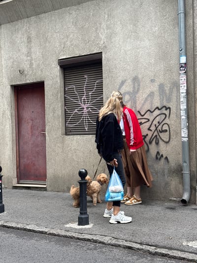 Two individuals, one wearing a black jacket and the other a red jacket with white stripes, are standing on a sidewalk next to a textured concrete building. The person in the black jacket is holding a leash attached to a small, light brown poodle. The person in the red jacket appears to be leaning towards the wall, which is covered in graffiti. In front of the individuals, on the sidewalk, is a blue plastic bag containing items, and the person in the black jacket is also wearing white sneakers, while the person in the red jacket is wearing brown and white sneakers. To the left of the individuals is a dark red door set into the building. A metal downspout runs vertically along the right side of the building, with stickers affixed to it. The sidewalk is paved with asphalt and stone. The scene appears to be in Vracar Urban Municipality, Serbia.