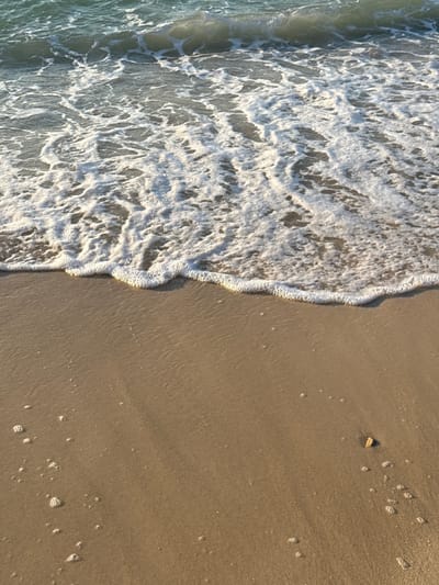 This media file depicts a close-up, overhead view of a sandy beach at the edge of the ocean. The image is divided into two distinct areas: the foamy surf on the left and the wet sand on the right.
The surf is a mass of white foam with intricate patterns formed by the receding waves. It has a dynamic, frothy texture, with ripples and bubbles visible. The water itself, to the far left of the frame, appears a muted greenish-blue.
The sand occupies the right side of the image and is a warm, light brown color. It is wet and smooth, with subtle lines indicating where the water has recently receded. There are small clusters of bubbles on the sand, likely from the receding tide. A small, light-colored object, possibly a piece of shell or driftwood, rests on the sand near the top of the frame.
The lighting suggests it is either early morning or late afternoon, with a soft glow illuminating the scene. The overall impression is one of a tranquil beach setting. There is no visible text in the image. The location context is Bodrum, Turkey.