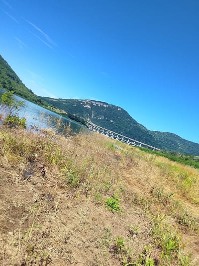 A scenic, wide-angle, slightly tilted shot captures a vast, calm body of water bordered by lush green hills under a clear, bright blue sky. In the foreground, dry, tan-colored grass and scattered green shoots cover the embankment. The water reflects the bright sky and the distant hills. A long, modern bridge with white supports spans across the water in the mid-ground. The bridge appears to be a road or railway bridge. The hills on either side of the water are covered in dense foliage, with rocky outcrops visible on the distant hills. A small, dark speck, possibly a bird, is visible in the sky towards the top center of the image. The lighting suggests it is a sunny day. The location is identified as Asparuhovo, Bulgaria.