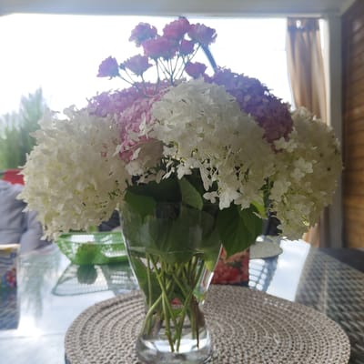 A bouquet of pink and white hydrangeas and roses is displayed in a clear glass vase on a textured, woven placemat atop a glass table. The bouquet is large and fills a significant portion of the frame. Behind the vase, a bright window with sheer curtains is visible, suggesting an indoor setting, possibly on a patio or sunroom, with sunlight streaming through. In the background, elements of outdoor greenery and furniture can be seen, along with a woven chair. To the left of the vase, a portion of a box with colorful graphics is visible. The overall scene depicts a decorative floral arrangement indoors, with natural light playing a significant role. The location "Берега Днп, Russia" is not visually discernible from the image itself.
