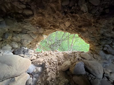 From a vantage point inside what appears to be a small rock cave or tunnel, the view leads out to a green forested area in Aragvispiri, Georgia. The cave walls are constructed of rough, unhewn stones and a gritty soil mixture. The area directly outside the cave is a mix of soil and rocks, beyond which stands a dense forest of deciduous trees with green foliage. The overall scene suggests a natural environment with a man-made structure that blends with the surroundings.