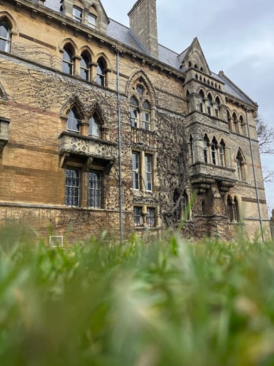 The image depicts the exterior of the University Museum of Natural History, located on Parks Road in Oxford, United Kingdom. The perspective is low-angle, looking up from ground level through blurred green grass that occupies the lower portion of the frame.
The dominant subject is the multi-story, Victorian Gothic Revival style building constructed from light-colored stone, possibly limestone, which appears slightly weathered. The facade is heavily adorned with a dense network of leafless, dark brown ivy vines, particularly concentrated around windows and architectural features.
Architectural details include numerous arched windows with varying styles of tracery, some grouped in sets of three or two. Two prominent, ornate bay windows project from the facade; one on the lower-left features a decorative balustrade with circular cutouts, and another further right and slightly higher shares similar intricate stonework. A white rectangular air vent is visible on the lower left wall, beneath a barred window. A vertical metal downpipe runs along the left side of the central section. The upper part of the building showcases steeply pitched slate roofs, dormer windows, and a tall, rectangular stone chimney on the right. The sky is overcast, providing a soft, diffused light, and bare tree branches are visible against the sky on the far right. No individuals, discernible actions, or interactions are present in the scene.