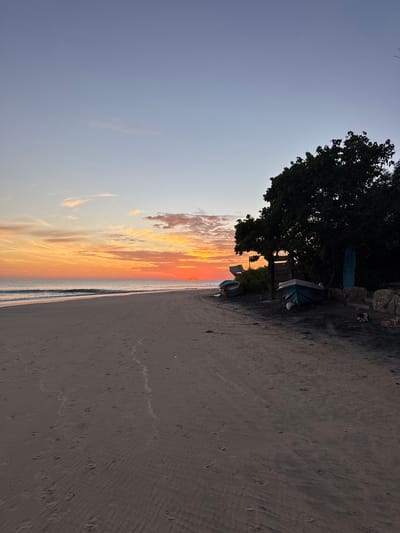 The image depicts a beach scene at sunset in Arugam Bay, Sri Lanka. The sky displays a gradient of colors, transitioning from a pale blue at the top to vibrant orange and red hues near the horizon. A few wispy clouds are present in the sky. The sea is calm with gentle waves lapping the shore. The beach itself is sandy, with footprints visible on the sand. On the right side of the image, near some trees, are several small boats pulled ashore. A surf-style board is propped upright against a tree. Two dogs are lying down on the sand. The overall impression is one of a tranquil evening on a tropical beach.