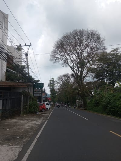 The image depicts a street scene in Ban Phouviengnoy, Laos. A two-lane asphalt road with a solid white line on the left and a dashed yellow line on the right stretches into the distance. A group of motorbikes travels along the road. Lush greenery and tall trees line the right side of the road. On the left, there's a sidewalk, a building with power lines running across it, and an assortment of businesses indicated by signage, including what appears to be a pharmacy. A red compact car and a white van are parked along the roadside. The sky is overcast with heavy cloud cover.
