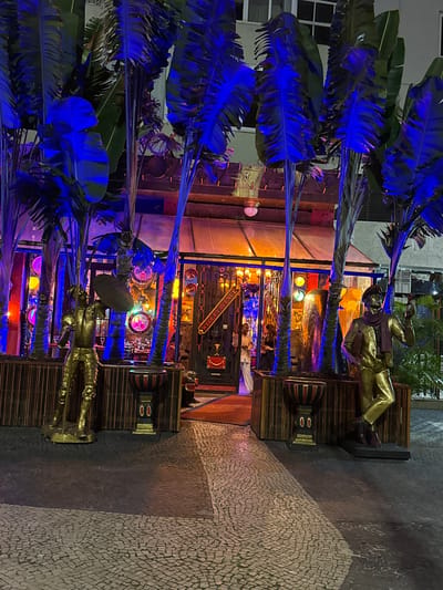 This detailed image captures an eclectic storefront at night in Rio de Janeiro, Brazil. The foreground features Portuguese cobblestone pavement, transitioning to a darker, uniformly paved area directly in front of the establishment. The entrance is flanked by numerous tall, palm-like plants, likely Traveler's Palms, which are intensely illuminated from below by bright blue lights, causing their large leaves to glow vividly.
Two life-sized golden statues stand on dark bases, positioned in front of a low, slatted wooden fence or planter box that runs along the facade. On the left, a golden knight statue is depicted in full armor, holding a vertical spear in its left hand and a round shield in its right hand. On the right, another golden statue portrays a man wearing a beret, a maroon-colored scarf, and a long coat; he holds a small, dark object (possibly a pipe) in his raised right hand and a flat object, resembling a book or notepad, in his left hand. In front of each statue, a dark, ornate goblet-shaped planter with gold and red accents is visible.
The building's entrance, visible between the plants, features a prominent dark metal gate with decorative scrollwork. Above the gate, a horizontal rectangular sign clearly displays the text "WEOLEY AVENUE." The interior of the establishment, visible through glass panels and an open archway, is brightly lit with a warm, amber glow, complemented by various multicolored lights (red, blue, yellow, green) and circular illuminated decorative elements on the walls. Inside, tables and chairs are discernible. Two individuals are present near the entrance: one person in light-colored clothing is partially visible on the left side of the doorway, and another person in dark clothing stands further inside to the right. A multi-story building with windows is partially visible in the blurred background above the storefront.