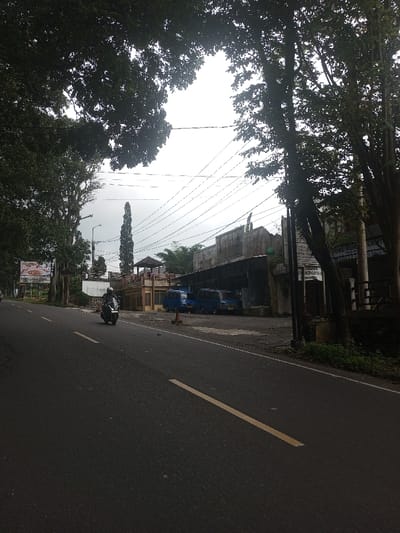 A gray asphalt road stretches into the distance, marked with broken yellow lines. A motorcyclist travels on the road. Trees line both sides of the road, framing the view. A building with blue vans parked in front and power lines stretching across the sky sit on the right side of the road. A tall, slender tree stands in the background, adding height to the scene. The sky is overcast, creating a muted light.