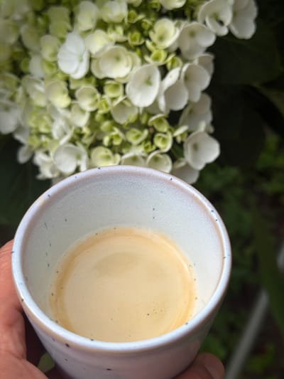 A close-up shot captures a cup of coffee held in someone's hand. The cup, filled with a light brown liquid resembling coffee, is positioned in the foreground. To the left, a cluster of white flowers with hints of green buds provides a soft, blurred backdrop. The background is further blurred and appears to consist of foliage. The image does not contain any information to determine a location, and Antwerp, Belgium, cannot be specified.