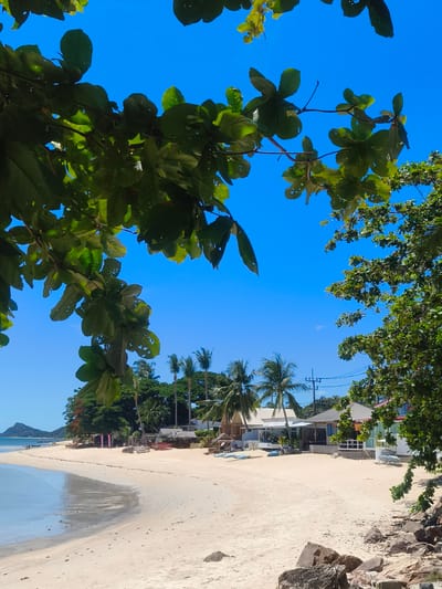 A bright, sunny day unfolds on a tropical beach in Baan Thong Po, Thailand. The foreground is dominated by the lush green foliage of a large tree, its leaves partially obscuring the vibrant blue sky. The sandy beach stretches out, meeting the calm, shallow water of the ocean. Along the shoreline, a row of quaint beachside structures, including bungalows and open-air huts, are visible, some with thatched roofs. Several lounge chairs and tables are scattered on the sand, suggesting a relaxed atmosphere. In the distance, palm trees and other tropical vegetation create a dense, green backdrop against the clear sky. A small, mountainous island can be seen on the far left horizon. The scene is devoid of any people, creating a serene and tranquil environment.