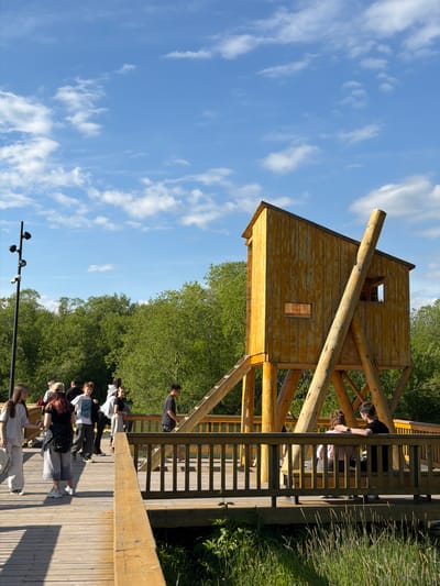 A group of people are gathered on a wooden boardwalk and observation deck in Yelizovo, Russia. The boardwalk, made of weathered wood, winds through lush green foliage and tall trees. Above the trees, a bright blue sky with scattered white clouds suggests a pleasant, sunny day.

The primary structure is a rustic, unfinished wooden observation tower, built from logs and planks. It stands on stilts and has an open-air feel with a large log leaning against its side. Several people are visible on the deck, some standing and talking, others sitting or leaning on the railing. They appear to be dressed casually for warm weather. One person is looking out over the surrounding greenery, while others are engaged in conversation.

A lamppost with multiple lights is also visible on the boardwalk, hinting at the possibility of the area being used after sunset. The overall scene conveys a sense of leisure and outdoor exploration in a natural setting. The lighting suggests it is daytime, likely late morning or afternoon. There is no visible text in the image.