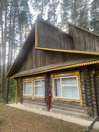 An exterior, eye-level, medium shot captures a wooden, log cabin-style house nestled amongst tall, slender pine trees. The house is constructed from horizontal, rough-hewn logs. The roofline is steeply pitched and clad in vertical wooden planks with a decorative, yellow-painted trim along the eaves and around the windows. Two windows are visible on the lower level, each with white frames and a distinctive geometric pattern of crisscrossing white bars. A red vertical pipe runs along the side of the house, near the right edge of the frame. The ground in front of the house is covered in pine needles and dirt, with a concrete foundation and walkway visible. A dark downspout runs along the right side of the house. The environment appears to be a wooded area, possibly a rural setting within the Орлеўскі сельскі Савет, Belarus.