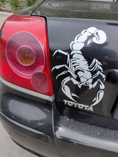 A black Toyota sedan is parked on a paved surface, likely a street or parking lot, with a dusty and slightly wet finish. The vehicle has a large white sticker of a scorpion with its tail raised, positioned on the right rear side of the trunk, above the "TOYOTA" emblem. The left taillight, red and clear with internal reflectors, is visible on the left side of the image. The rear bumper is also partially visible. The surrounding environment is indistinct, with a hint of greenery and a building in the background, suggesting an urban or suburban setting in Pavlodar, Kazakhstan.