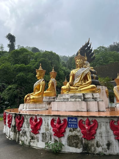 The image captures an outdoor scene at a temple or religious site in Chiang Dao, Thailand, under an overcast sky. The foreground features a semicircular, raised platform with multiple golden Buddha statues. The central and largest Buddha statue is seated in the lotus position, draped in white and gold fabric, with a serene expression. Behind it, a multi-headed dark-colored Naga (mythical serpent) rises, adorned with a smaller seated Buddha figure. To the left, two smaller golden Buddha statues are seated in profile, facing left, similarly draped. A partial view of another statue is visible on the far right.

The pedestals of the statues are white and light grey. A plaque on the central Buddha's pedestal displays Thai text, "สมเด็จองค์ปฐม พระพุทธเจ้าองค์ที่ ๑," identifying it as "Somdet Ong Pathom, The First Buddha." Below the platform, a white wall, showing signs of weathering and dirt, is decorated with multiple red Garuda figures in relief. A blue sign on this wall prominently displays "ห้ามขึ้น BANNED 不要进入" (No Entry / Banned) in Thai, English, and Chinese, indicating a restricted area. The ground surface in front of the wall is wet, suggesting recent rainfall. Lush green trees and dense foliage on steep hills form the background, disappearing into a misty, cloud-covered horizon.