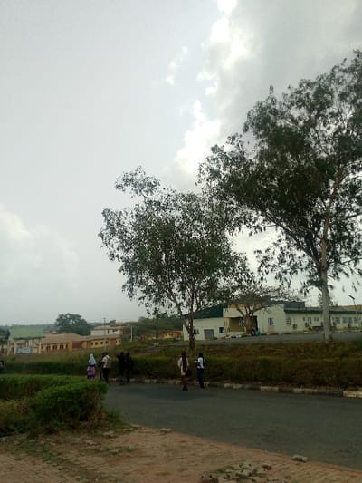 This image depicts an outdoor scene in Alabata, Nigeria, under an overcast sky with significant cloud cover.

In the foreground, disturbed soil and sparse dry vegetation are visible. An asphalt road curves from the lower-left to the right side of the frame, bordered by low green shrubbery on its left side and dry grass on its right.

Approximately seven individuals are present. A group of four to five individuals is walking on the left side of the road, moving away from the viewer. One individual in this group wears a light-colored head covering. On the far side of the road to the right, two additional individuals are visible, one in a light shirt and dark pants, the other in a darker top and light pants, both standing or walking near the roadside.

Two prominent, tall deciduous trees with light-colored bark and green foliage stand in the mid-ground, flanking the road. Additional trees and dense vegetation are visible further in the background.

Various buildings populate the background. To the left, several low-rise structures with light-brown or tan walls and darker roofs are nestled among trees. One building in this section features a distinct green roof section. To the right of the frame, a larger, light-colored building with a green roof is situated on an elevated embankment, displaying multiple windows and what appear to be external air conditioning units. The landscape beyond the buildings includes undulating terrain with sparse vegetation.