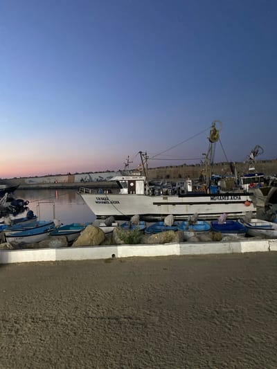 A fishing boat named "MOHAMED AICHA" with the registration "CH 5622" is docked in a harbor at dusk, likely in Tipaza, Algeria. Several smaller blue and white boats are moored alongside it. In the background, a concrete wall with scattered figures can be seen, suggesting a populated area. The sky is a gradient of blue and pink, indicating the transition from day to night. The foreground is a sandy embankment.