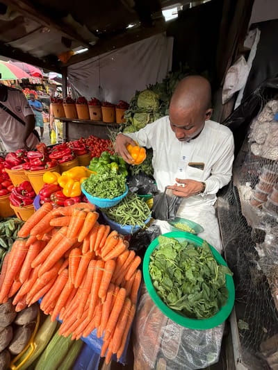 The image depicts an active vegetable market stall in Jakande, Nigeria. In the foreground, a bald man, dressed in a long-sleeved white traditional garment with embroidered details, holds a yellow bell pepper in his left hand and manipulates a black plastic bag with his right, looking downwards at the items. He appears to be a vendor preparing an order.
The stall is abundant with fresh produce. To the man's left and in front of him are large piles of bright orange carrots, bundled with rubber bands, and numerous red and yellow bell peppers. Red bell peppers are also visible in multiple yellow buckets on a shelf behind these. Further back on the shelf are piles of tomatoes. On the counter directly in front of the man are green bell peppers, a blue basket filled with chopped green herbs, and a pile of green beans. To his right, a large green basin holds fresh green leafy vegetables, and a small white bowl contains green peas. Behind these items, stacked cabbages are visible, and to the far right, goods are stored in mesh netting.
In the blurred background to the left, another individual wearing a white t-shirt with a black "ARSENAL" logo is partially visible, facing away from the camera. The market stall has a rudimentary structure with a corrugated roof, wooden supports, and canvas or tarp backdrops. The lighting suggests natural daylight.