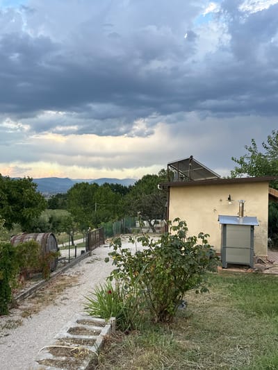 The image depicts a scene in Cannara, Italy, likely during the late afternoon or early evening given the soft lighting. The weather appears overcast with dramatic, dark clouds dominating the sky on the left, transitioning to brighter, illuminated clouds towards the right, suggesting an approaching storm or the aftermath of one.
The foreground features a path made of light-colored gravel, bordered by a low concrete structure with rectangular openings, possibly part of a planter or retaining wall. Adjacent to the path is a large, wooden barrel, hinting at a winery or agricultural setting. Lush green foliage, including a rose bush with red flowers, thrives on the right side of the frame. Beyond the immediate area, a chain-link fence encloses more greenery and what appears to be a small building or structure.
In the mid-ground, a building with a pale yellow stucco exterior is visible. It has a sloped, corrugated metal roof, and what looks like a solar panel system installed on it. Various fixtures, including a chimney cap, a light fixture, and a rectangular metallic unit mounted on the wall, are present.
The background showcases a verdant landscape with numerous trees and distant mountains. The overall atmosphere is one of natural beauty, with a touch of rustic charm due to the presence of the barrel and the building. The scene evokes a sense of tranquility, albeit with the looming presence of the dramatic sky. No people are visible in the image, and no text is discernable.